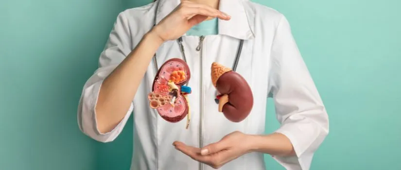 Endo Urology