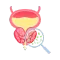Prostate Disorders